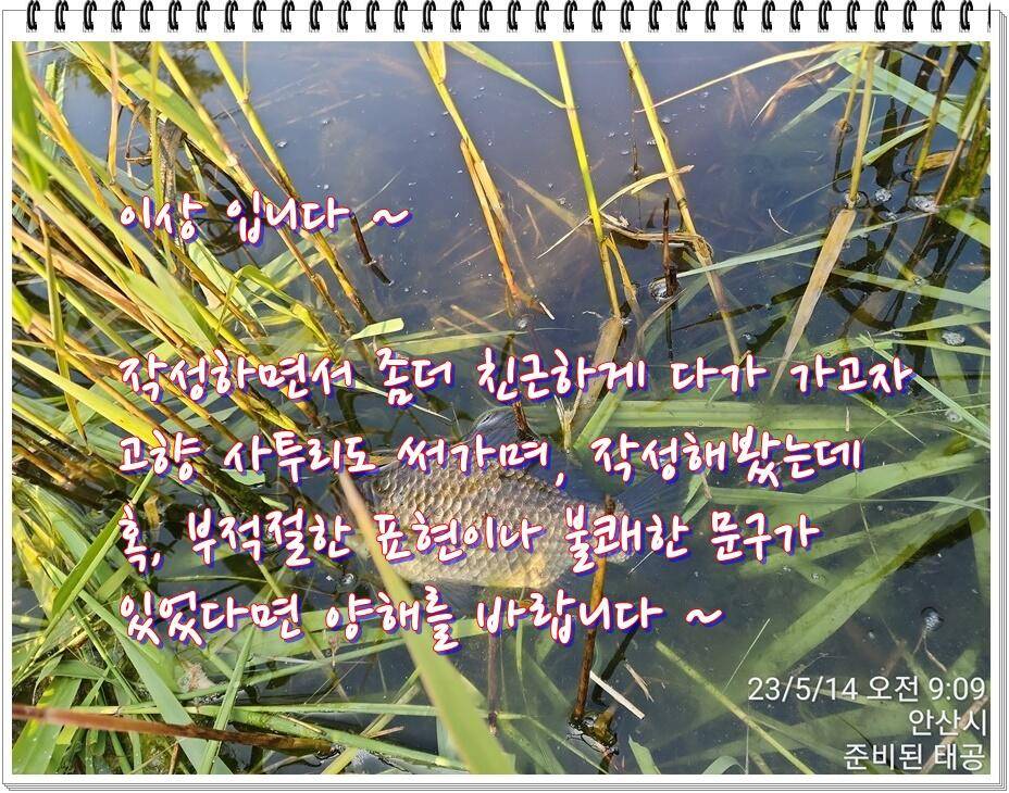 논 또랑 낚시 (조황조행기 - 화보조행기)