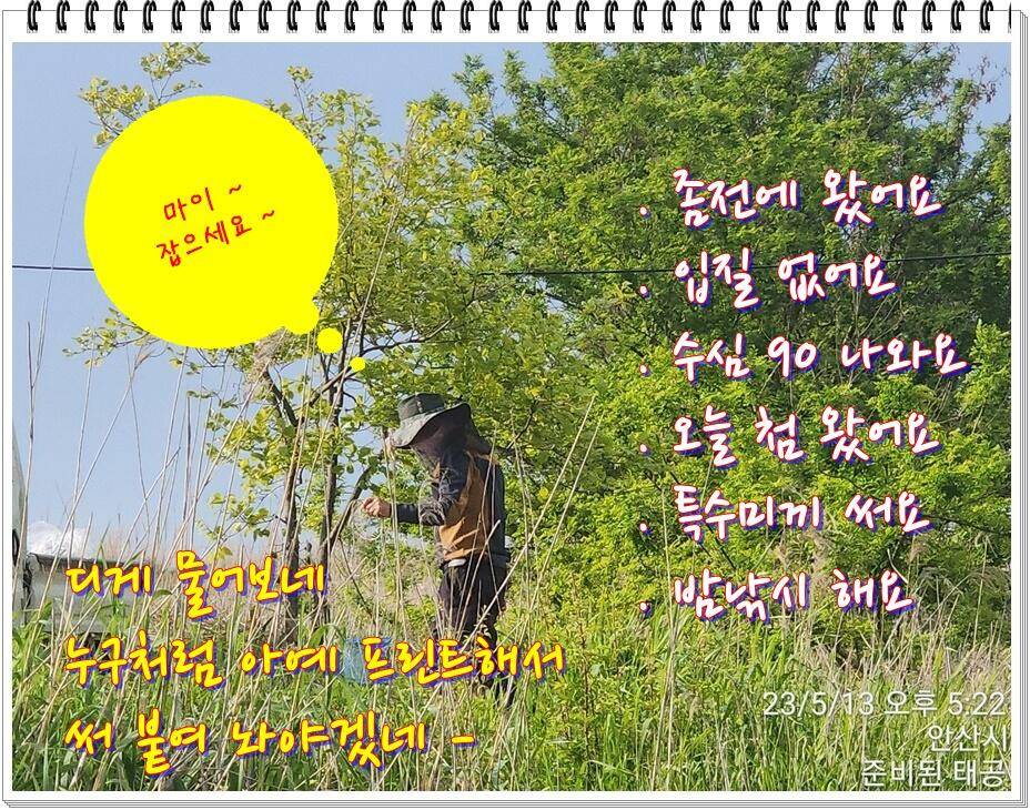논 또랑 낚시 (조황조행기 - 화보조행기)