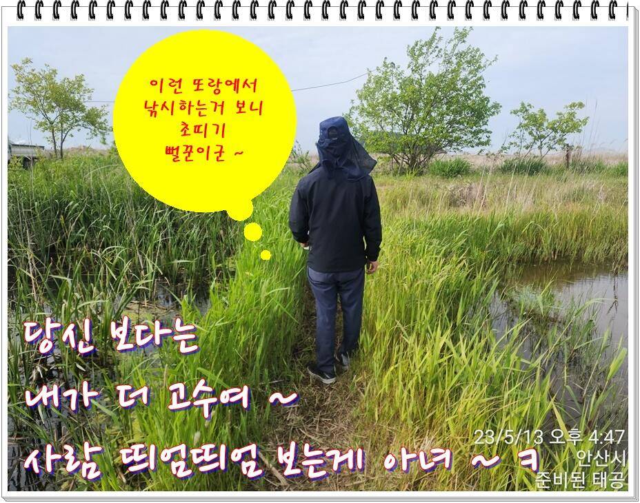 논 또랑 낚시 (조황조행기 - 화보조행기)