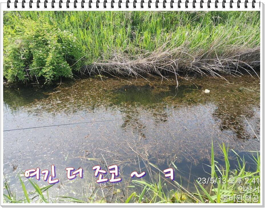 논 또랑 낚시 (조황조행기 - 화보조행기)