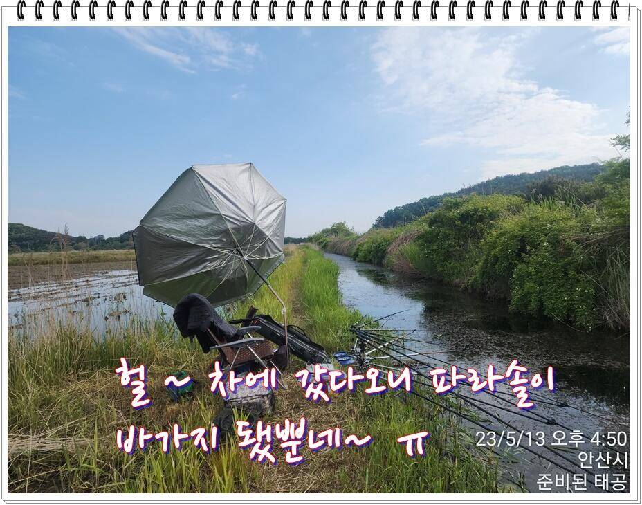 논 또랑 낚시 (조황조행기 - 화보조행기)