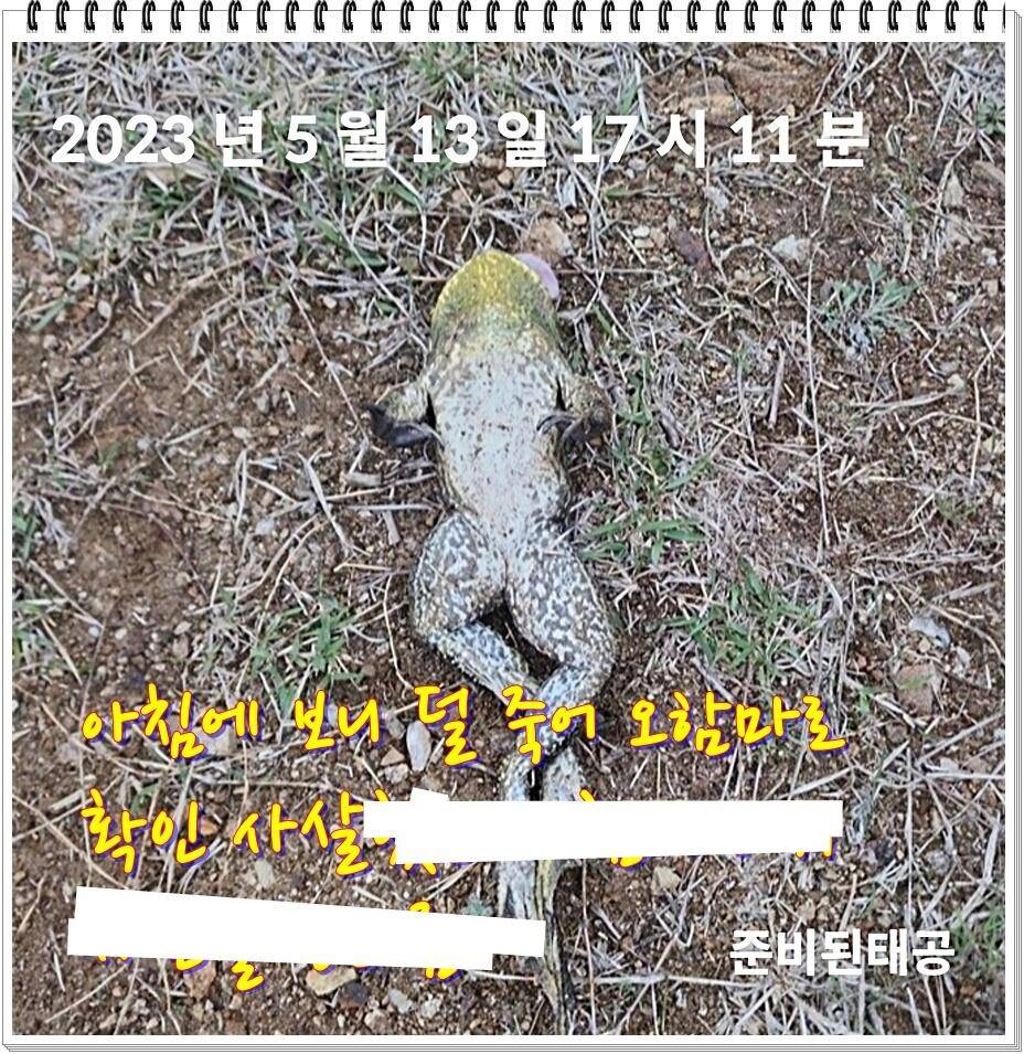 논 또랑 낚시 (조황조행기 - 화보조행기)