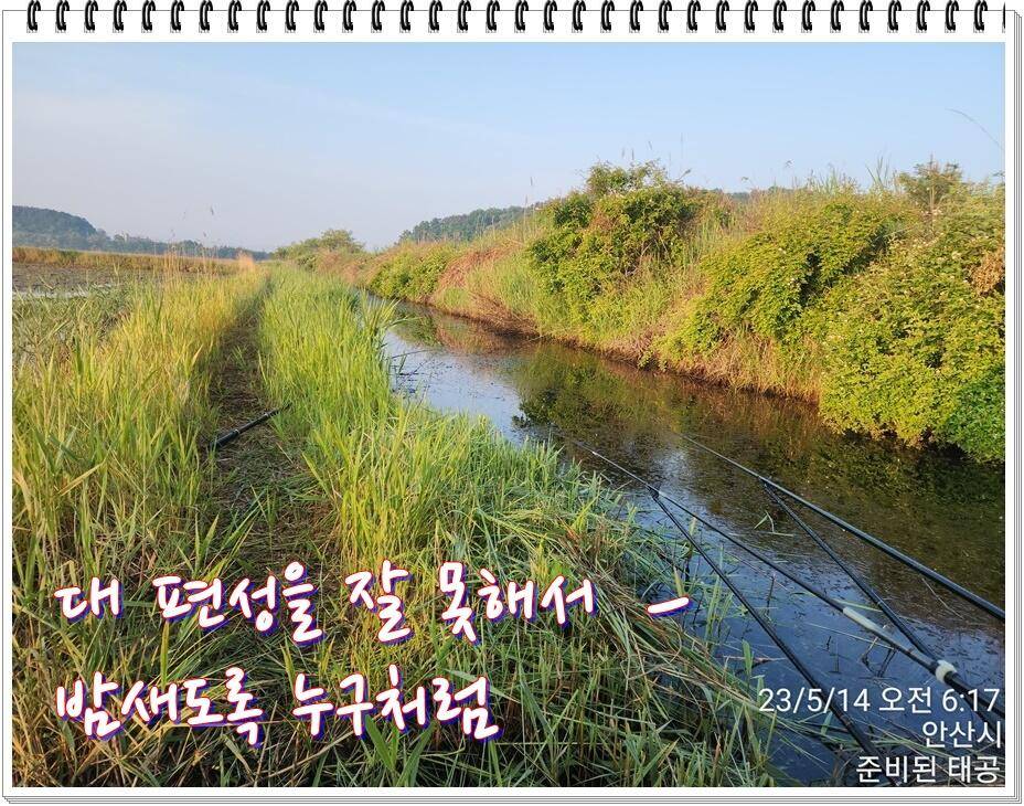 논 또랑 낚시 (조황조행기 - 화보조행기)