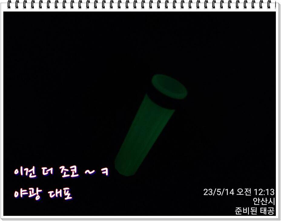 논 또랑 낚시 (조황조행기 - 화보조행기)