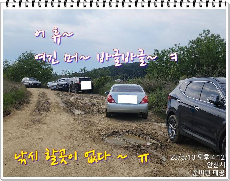 논 또랑 낚시 (조황조행기 - 화보조행기)