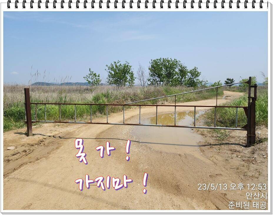논 또랑 낚시 (조황조행기 - 화보조행기)