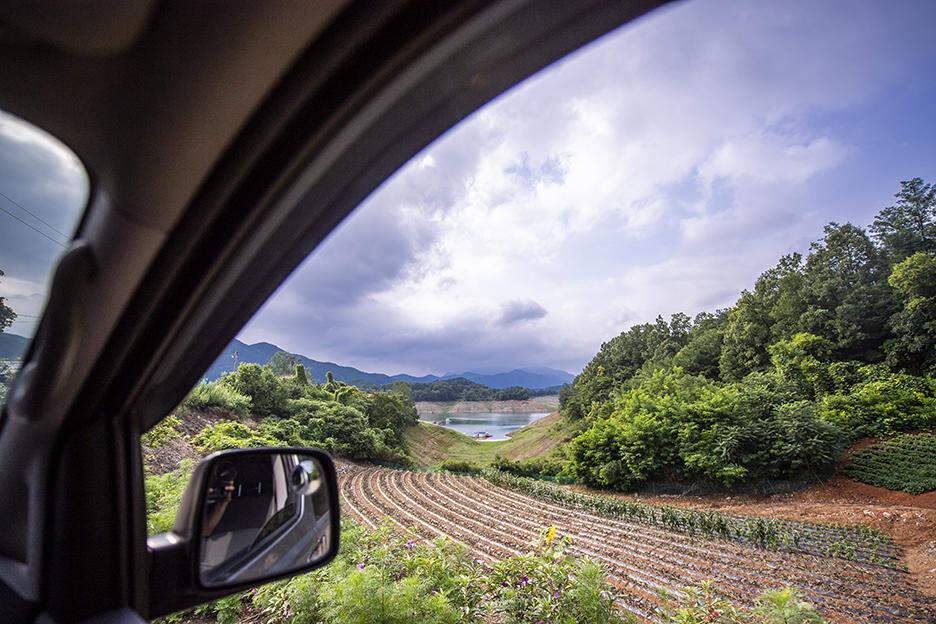 충주호 좌대 돌감낚시터 (조황조행기 - 화보조행기)