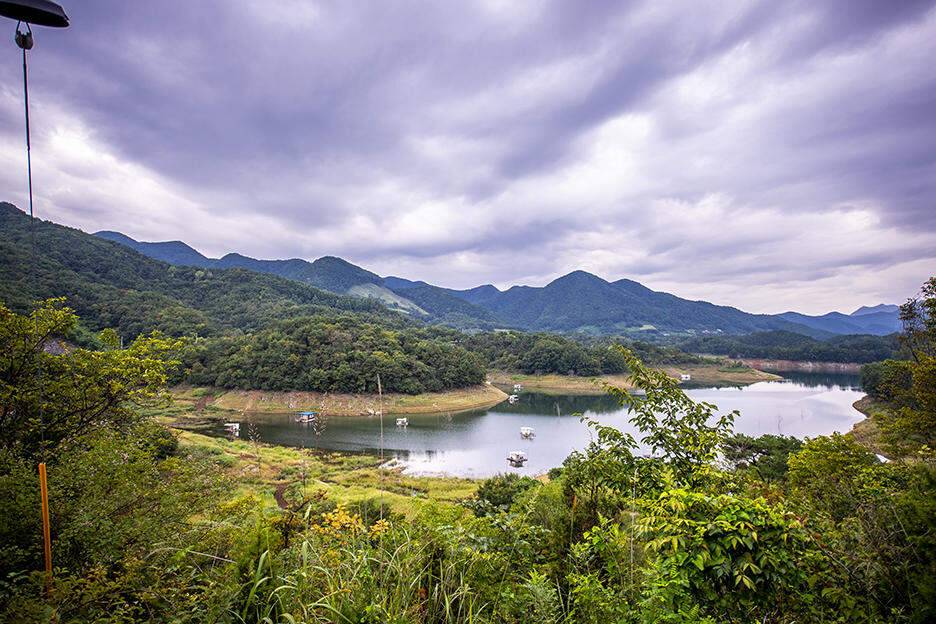 충주 짱가네낚시터 탄금호 보트낚시 (조황조행기 - 화보조행기)
