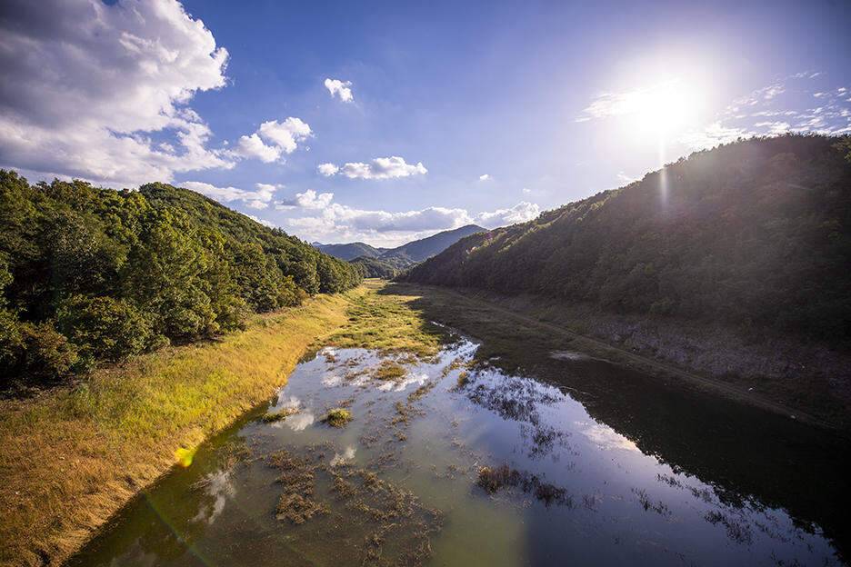 충주 짱가네낚시터 작은붕어를 만나다 (조황조행기 - 화보조행기)