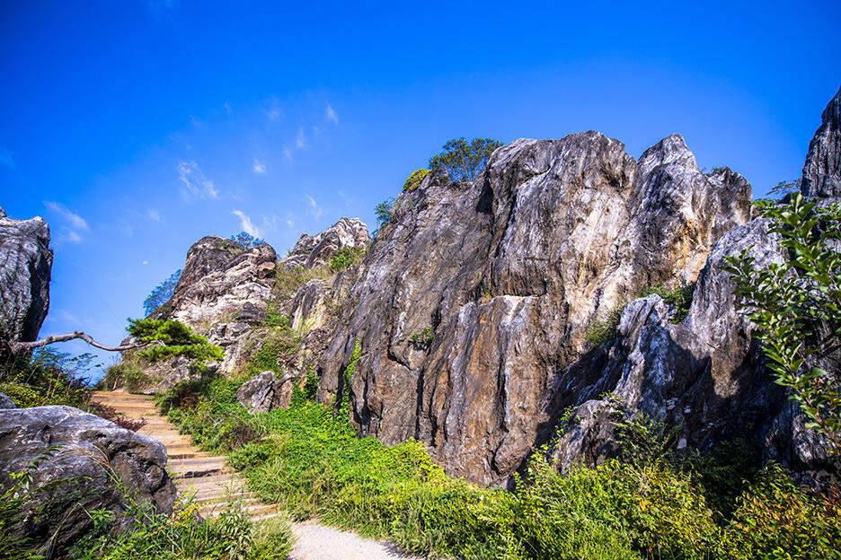 충주 짱가네낚시터 작은붕어를 만나다 (조황조행기 - 화보조행기)