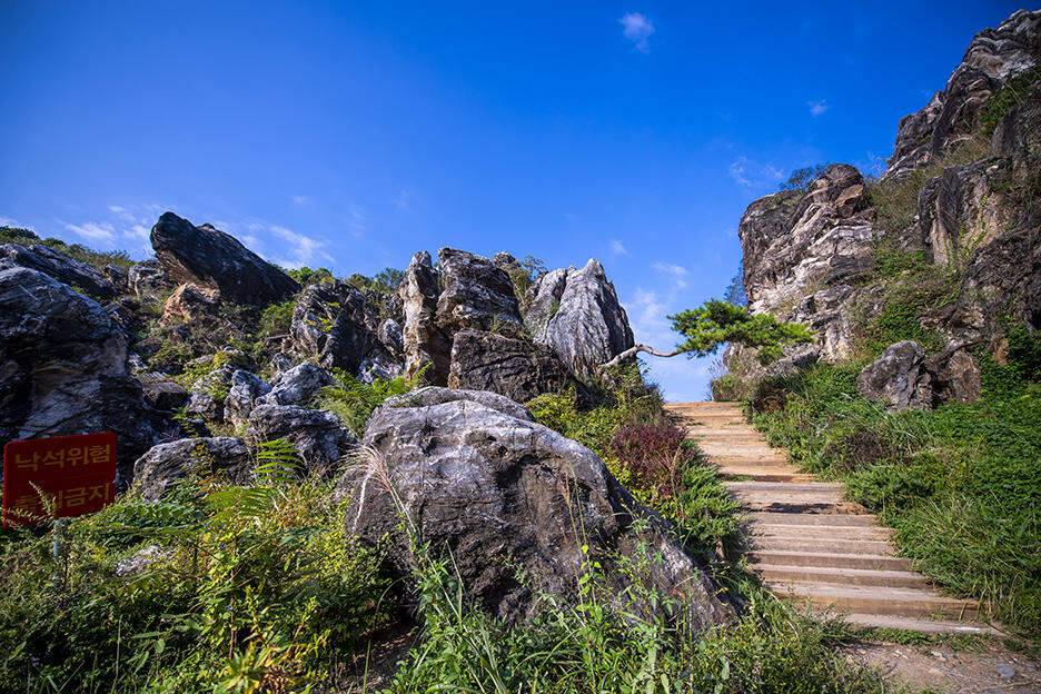 충주 짱가네낚시터 작은붕어를 만나다 (조황조행기 - 화보조행기)
