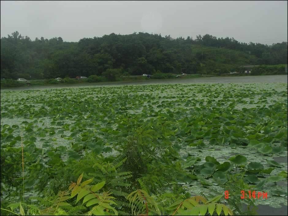 황제조우회 정출인물사진 (조황조행기 - 화보조행기)
