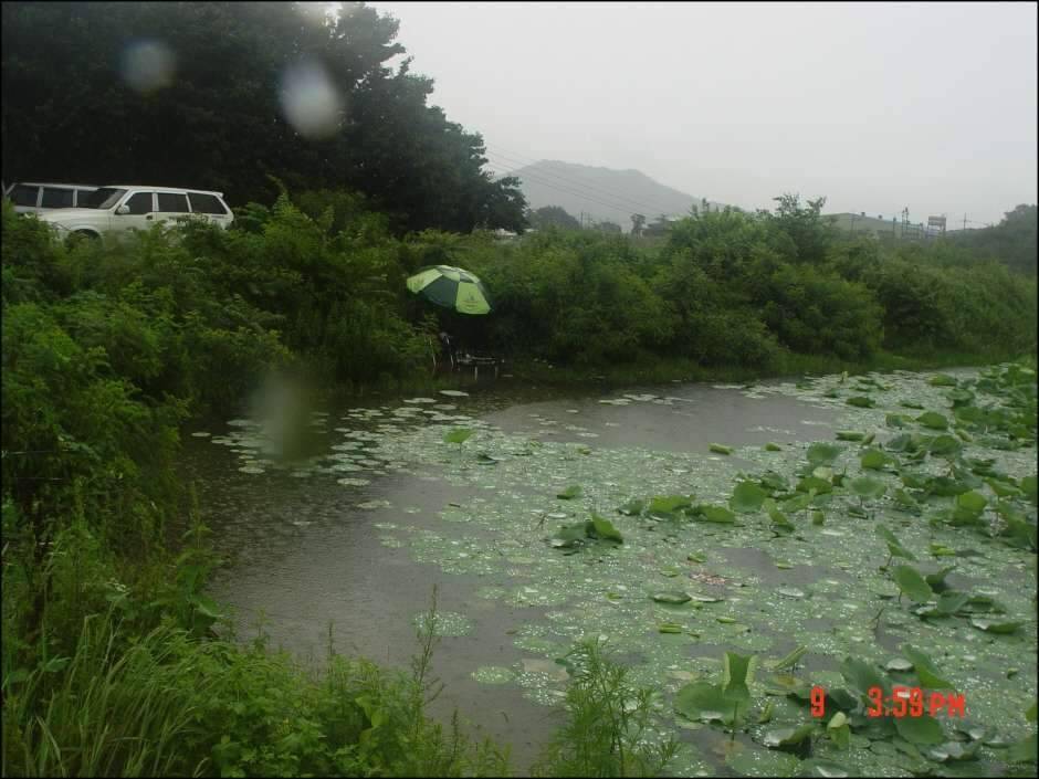 황제조우회 정출인물사진 (조황조행기 - 화보조행기)
