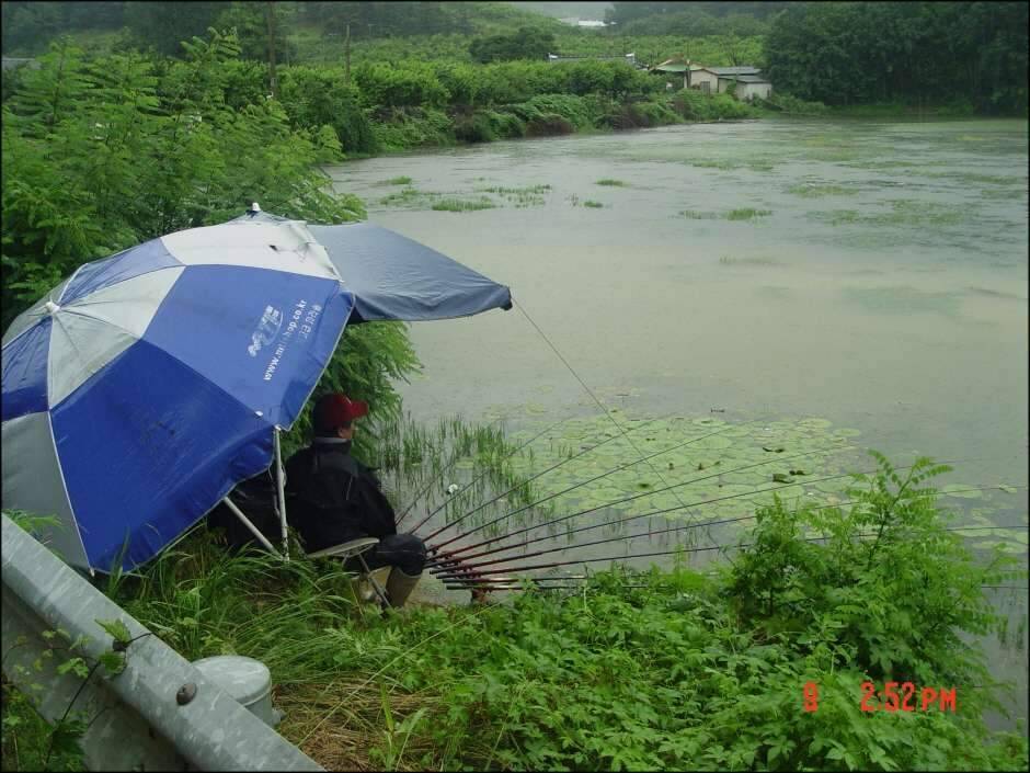 황제조우회 정출인물사진 (조황조행기 - 화보조행기)