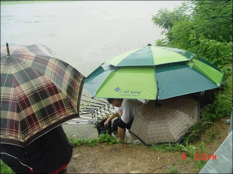 황제조우회 정출인물사진 (조황조행기 - 화보조행기)