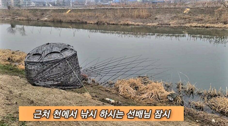 연밭 뽕치기 월척붕어들 (조황조행기 - 화보조행기)