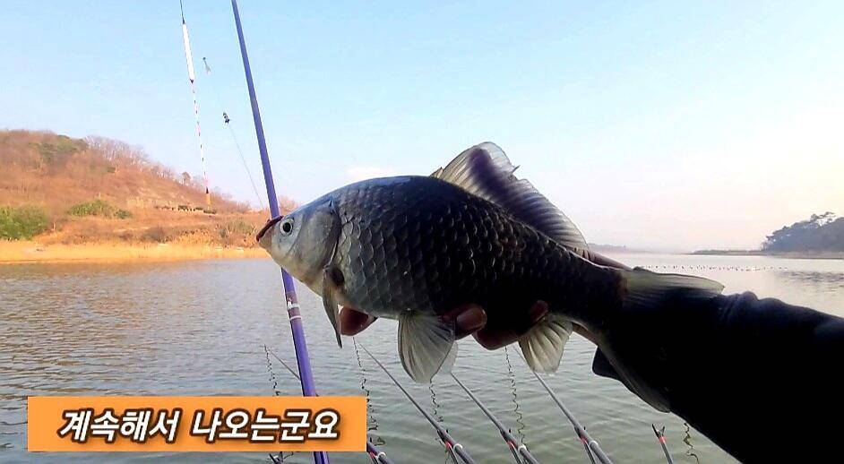 생각지못한 때월척 (조황조행기 - 화보조행기)