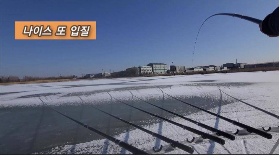 얼음낚시 준월척 마릿수 (조황조행기 - 화보조행기)