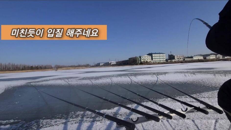 얼음낚시 준월척 마릿수 (조황조행기 - 화보조행기)