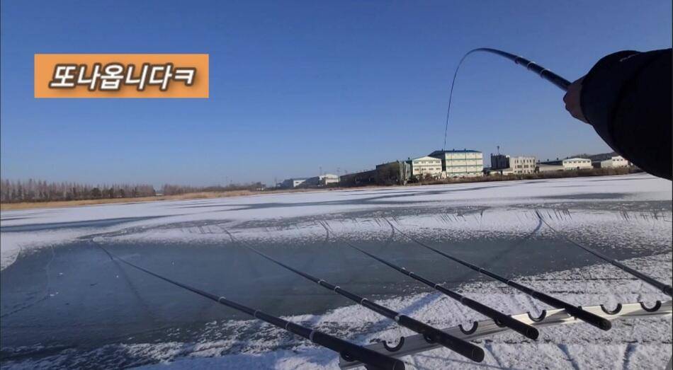 얼음낚시 준월척 마릿수 (조황조행기 - 화보조행기)