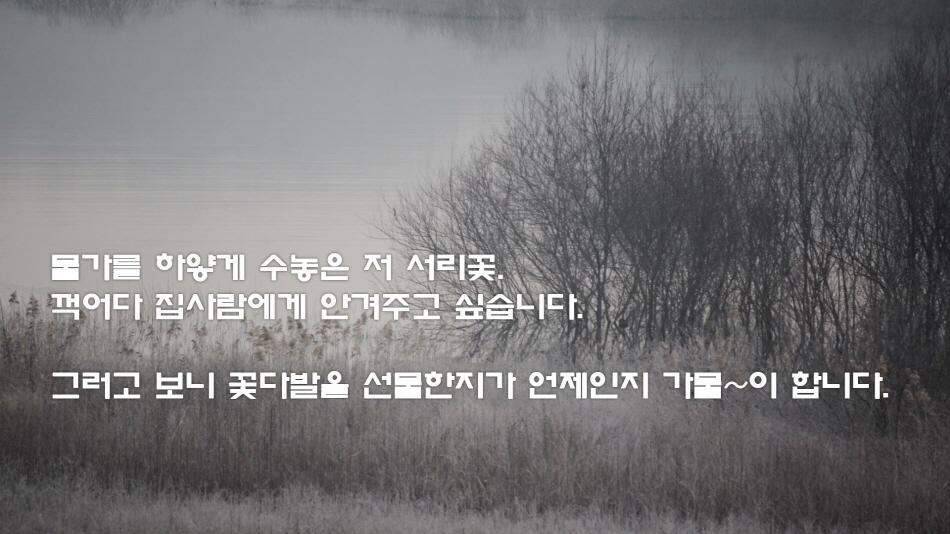 d8c985af-57a3-490b-93d2-6ffd0194f10e.jpg