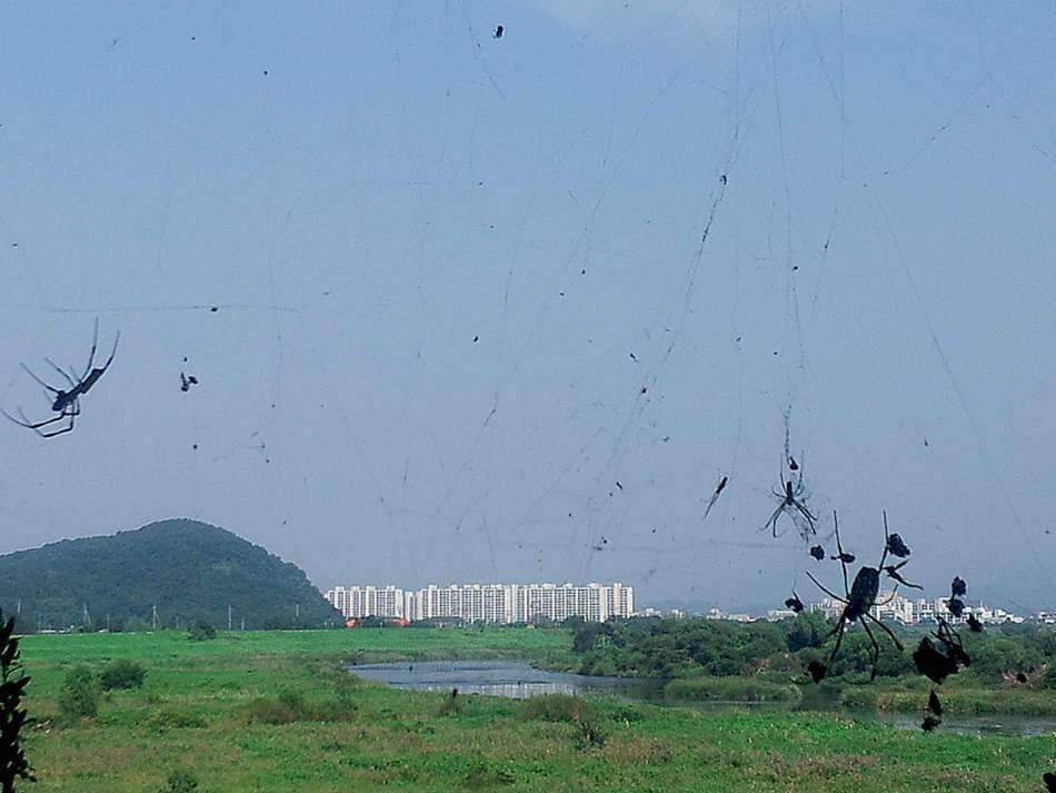 있는 그대로 (조황조행기 - 화보조행기)