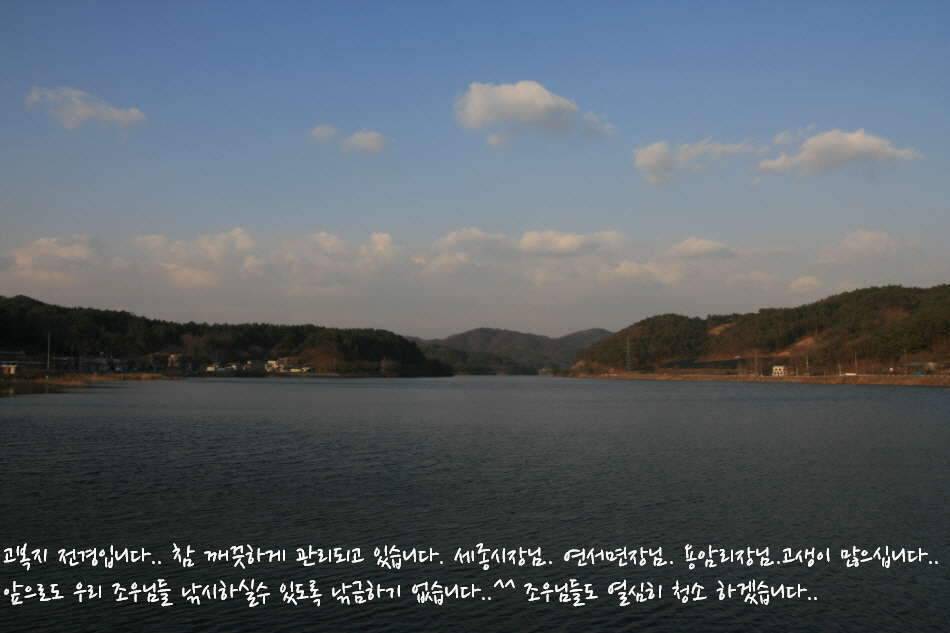고복저수지 봄이 왔습니다 (조황조행기 - 화보조행기)