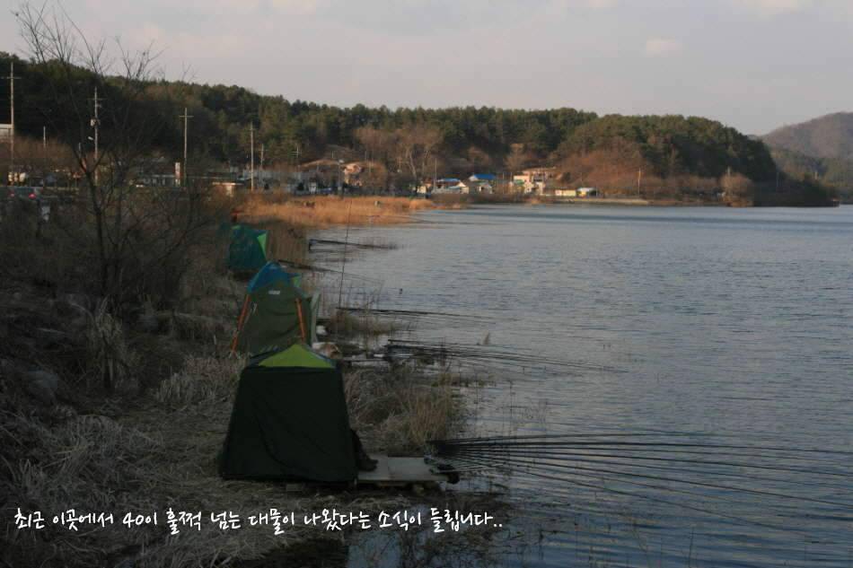 고복저수지 봄이 왔습니다 (조황조행기 - 화보조행기)