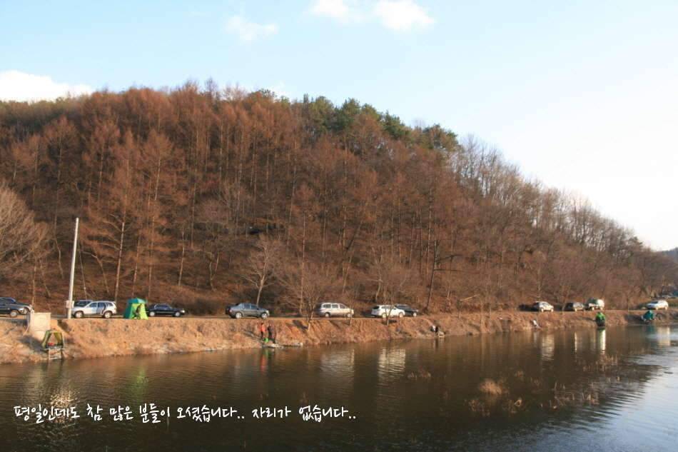 고복저수지 봄이 왔습니다 (조황조행기 - 화보조행기)