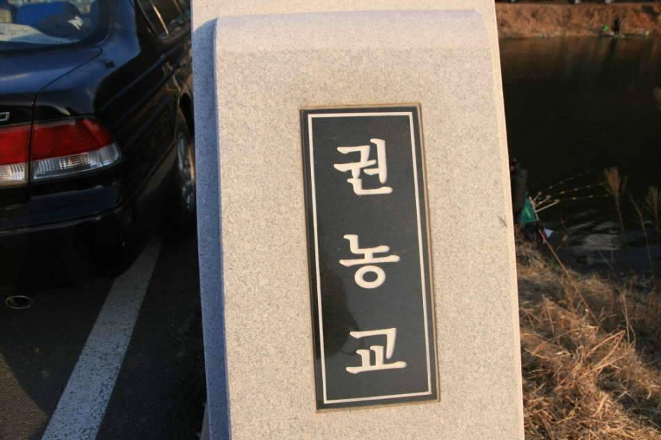 고복저수지 봄이 왔습니다 (조황조행기 - 화보조행기)
