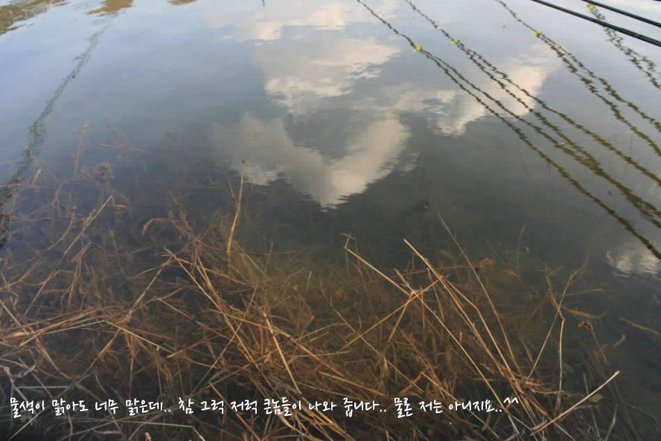 고복저수지 봄이 왔습니다 (조황조행기 - 화보조행기)