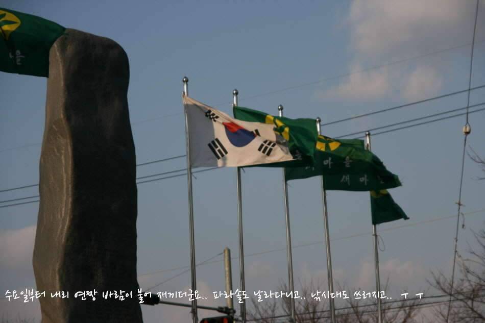 고복저수지 봄이 왔습니다 (조황조행기 - 화보조행기)