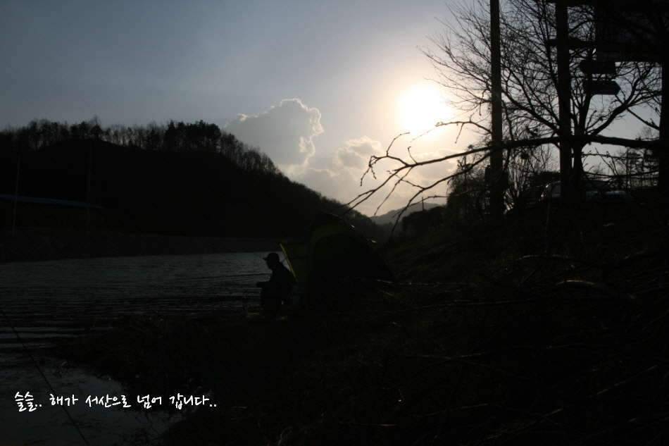 고복저수지 봄이 왔습니다 (조황조행기 - 화보조행기)