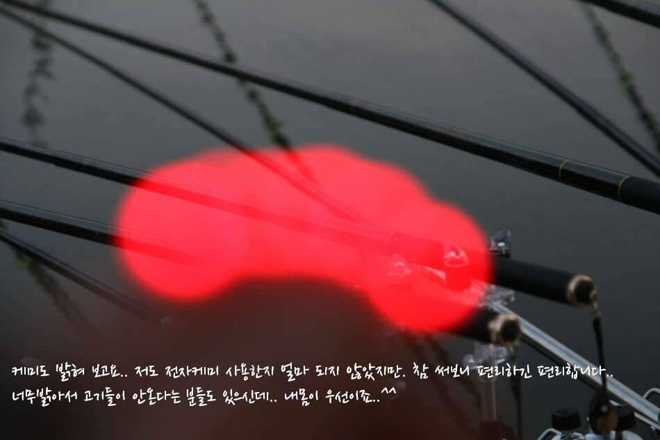 고복저수지 봄이 왔습니다 (조황조행기 - 화보조행기)
