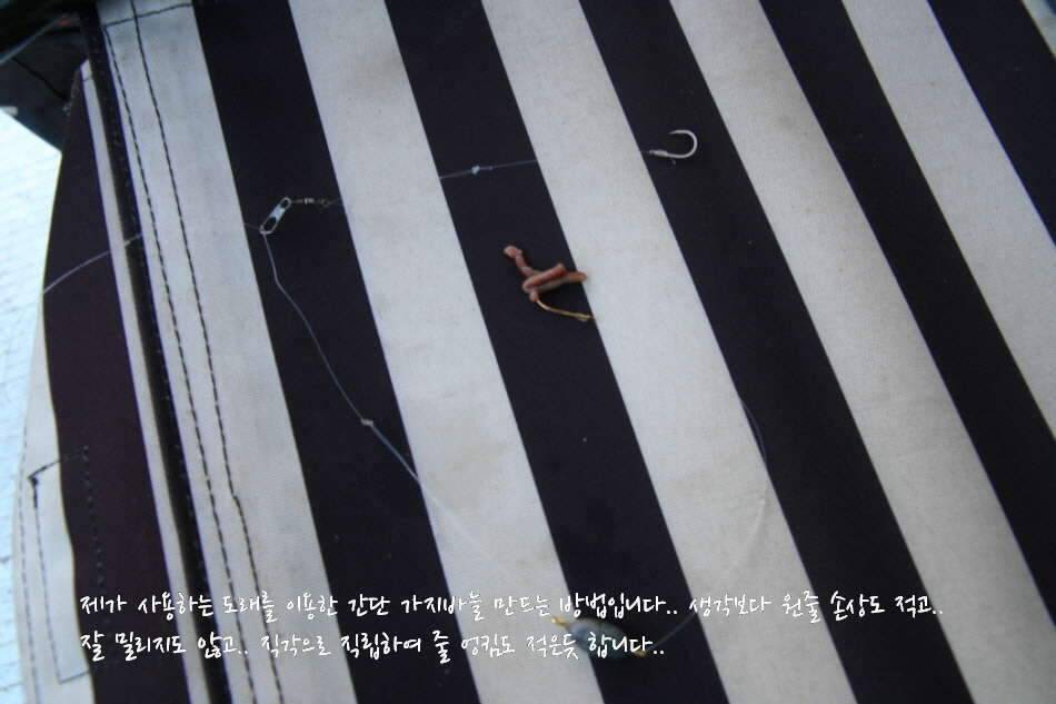 고복저수지 봄이 왔습니다 (조황조행기 - 화보조행기)