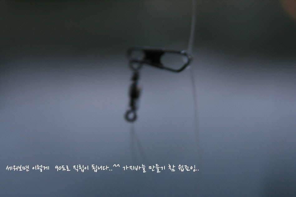 고복저수지 봄이 왔습니다 (조황조행기 - 화보조행기)