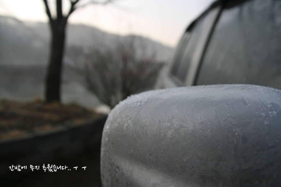 고복저수지 봄이 왔습니다 (조황조행기 - 화보조행기)