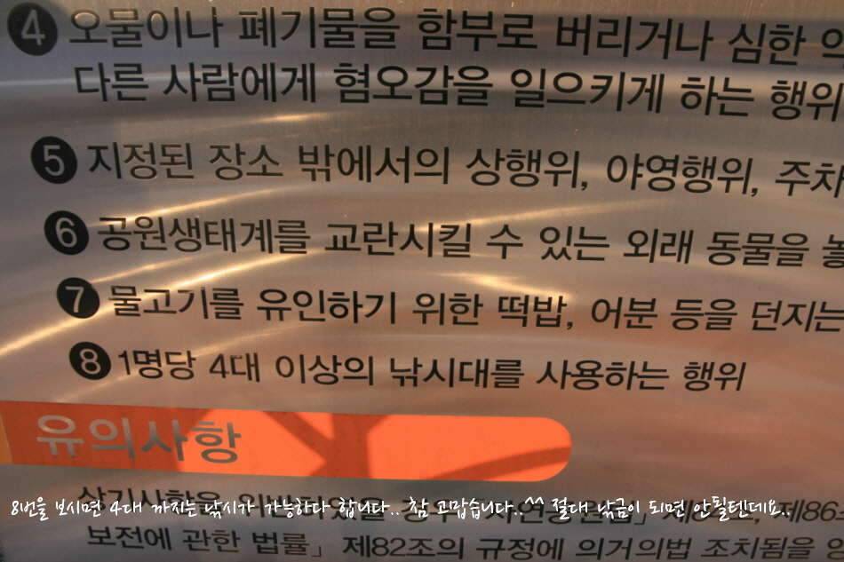 고복저수지 봄이 왔습니다 (조황조행기 - 화보조행기)