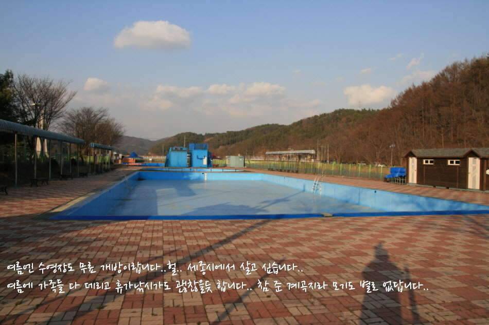 고복저수지 봄이 왔습니다 (조황조행기 - 화보조행기)