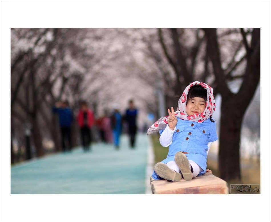 또철이아빠 낚시와소풍 (조황조행기 - 화보조행기)