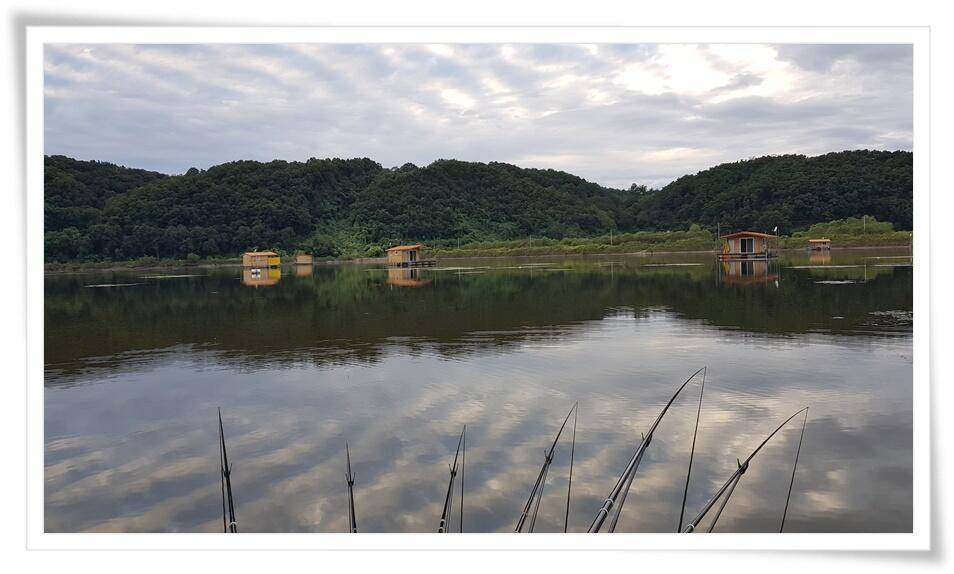 오랜만의 예당지 (조황조행기 - 화보조행기)