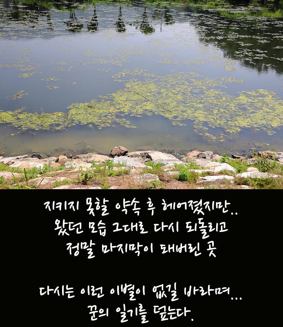 꾼의 일기 가슴에 묻으려 했던 조행기 (조황조행기 - 화보조행기)