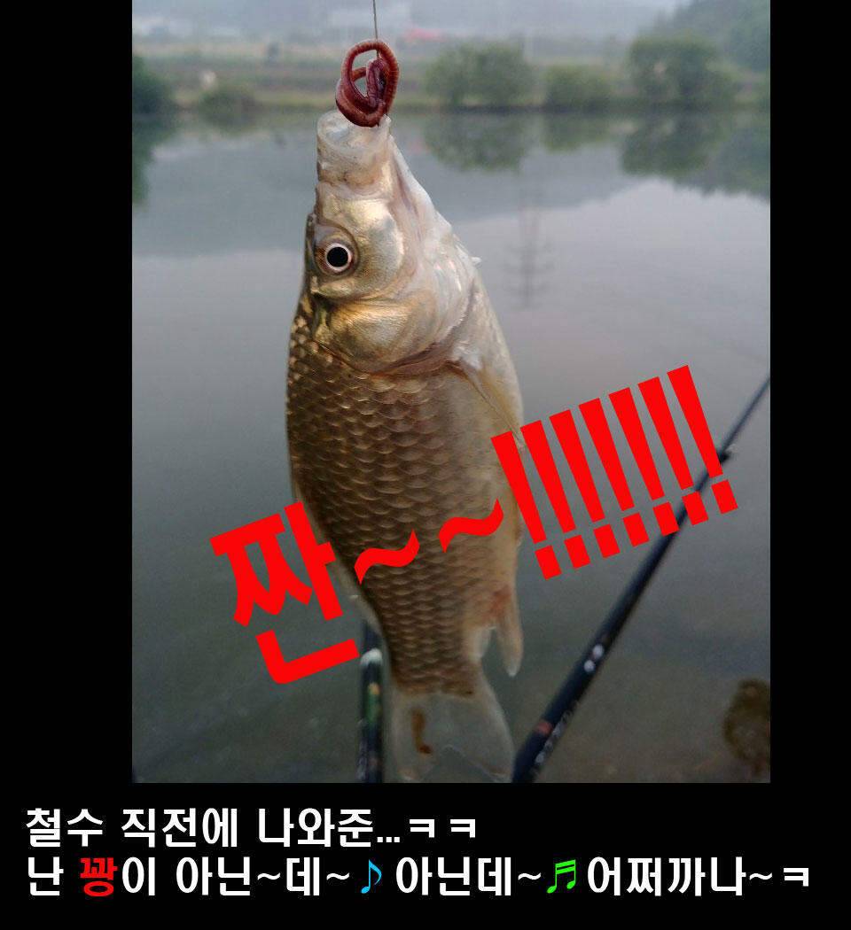 이장의 강호지락 청주 및 논산 짧은 조업편 (조황조행기 - 화보조행기)
