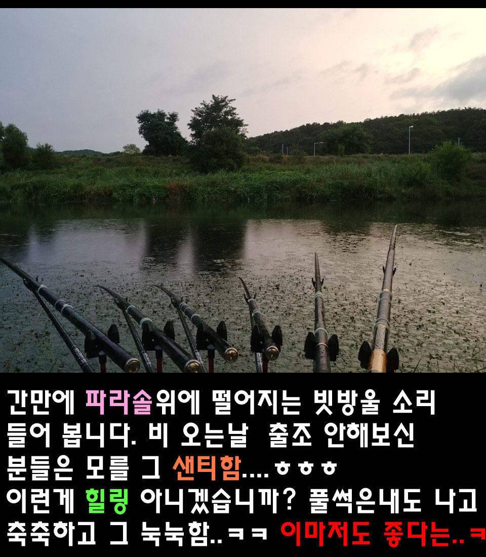 두계천 조업 2편 (조황조행기 - 화보조행기)