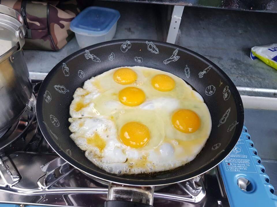 먹개비의 낚시 투어 94탄 멤버들과 상주권 낙동강 도전 (조황조행기 - 화보조행기)