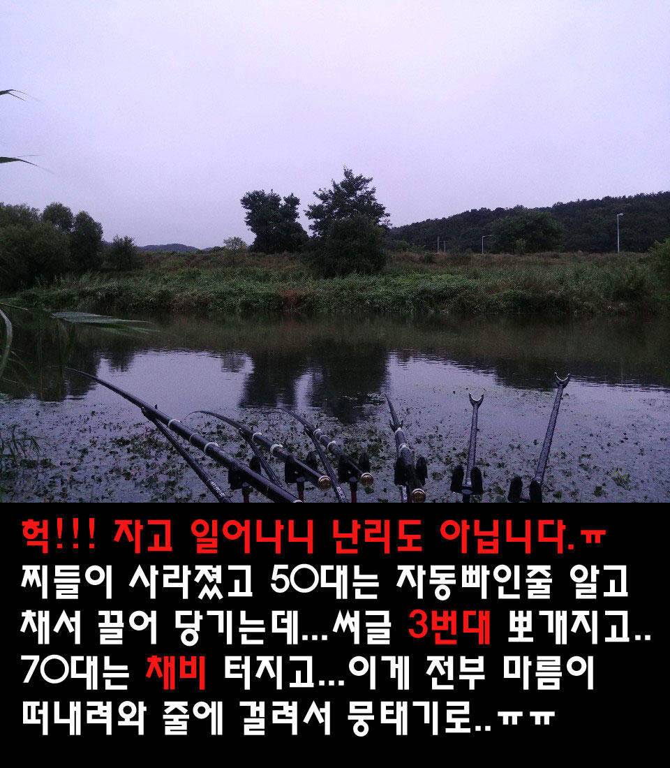 두계천 조업 2편 (조황조행기 - 화보조행기)