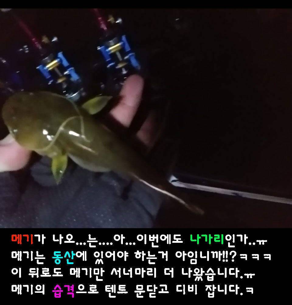 이장의 강호지락 화산천 조업편 (조황조행기 - 화보조행기)