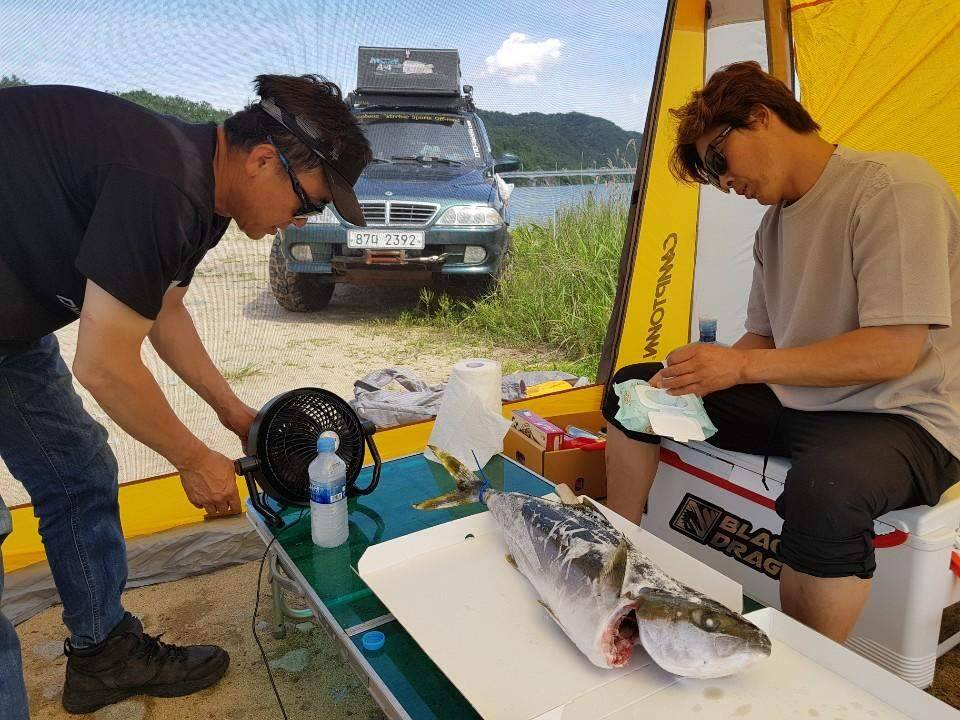 먹개비의 낚시 투어 94탄 멤버들과 상주권 낙동강 도전 (조황조행기 - 화보조행기)