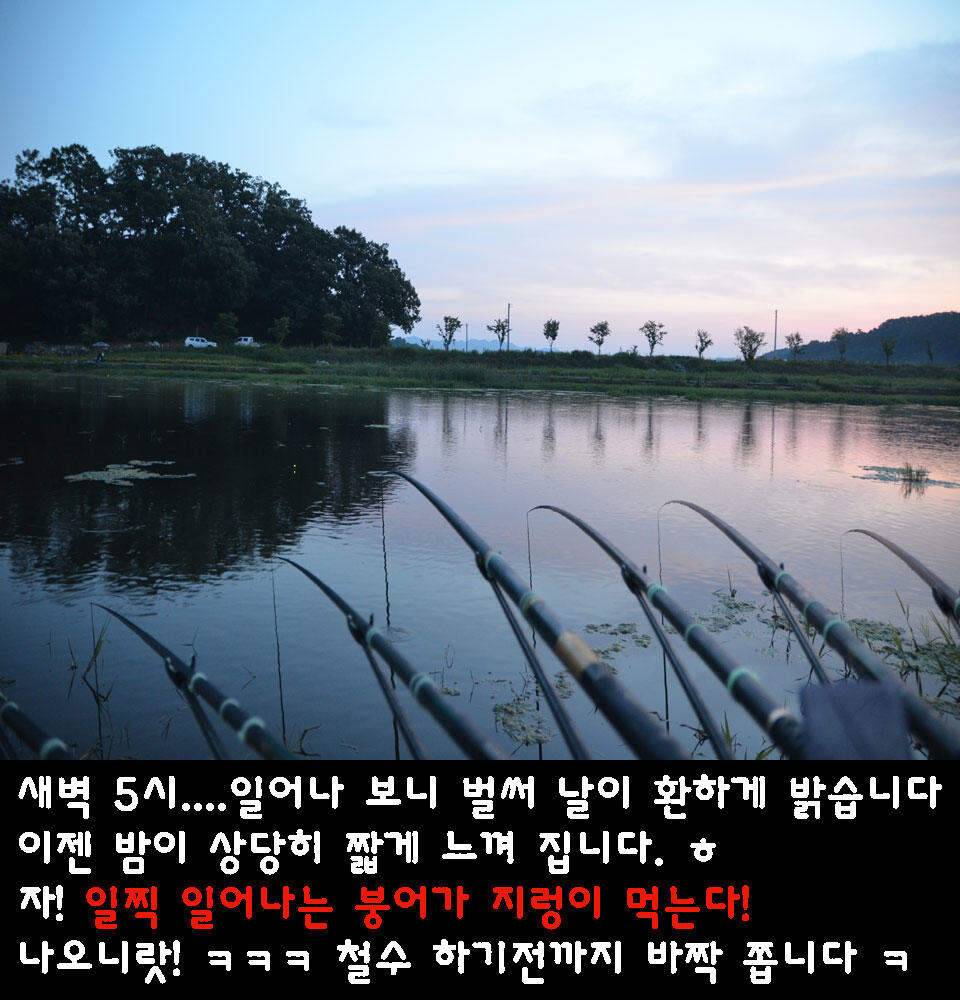 이장의 강호지락 화산천 조업편 (조황조행기 - 화보조행기)
