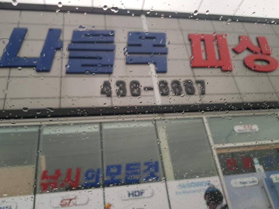 먹개비의 낚시 투어 99탄 낮낚시 정출에 마리수 대박 (조황조행기 - 화보조행기)